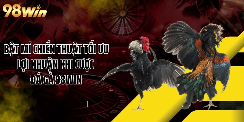 Bật mí chiến thuật tối ưu lợi nhuận khi cược đá gà 98WIN